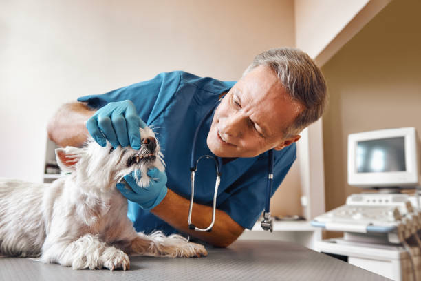 Best Pediatric Emergency Dentist in Portales, NM